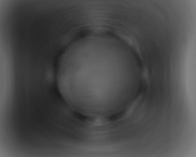 X0000100780663200807031232