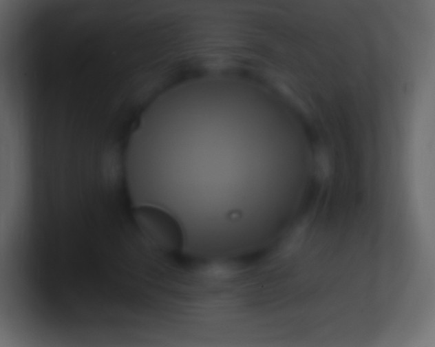 X0000100780664200807031232