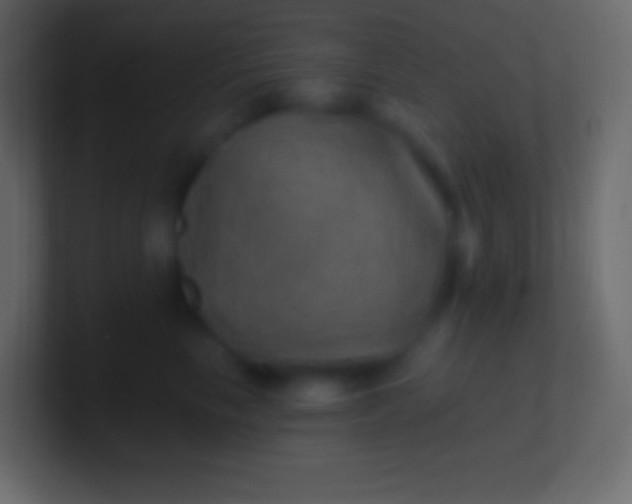 X0000100780665200807031232