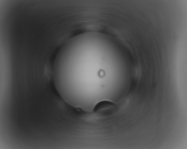 X0000100780666200807031232