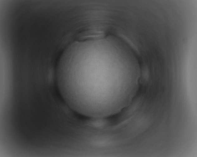 X0000100780667200807031232