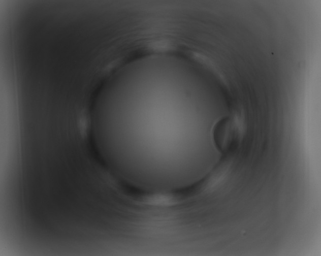 X0000100780668200807031232