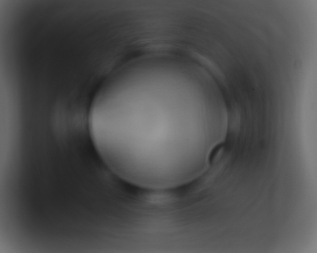 X0000100780669200807031232