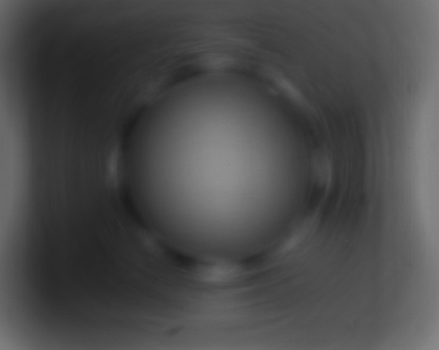 X0000100780670200807031232