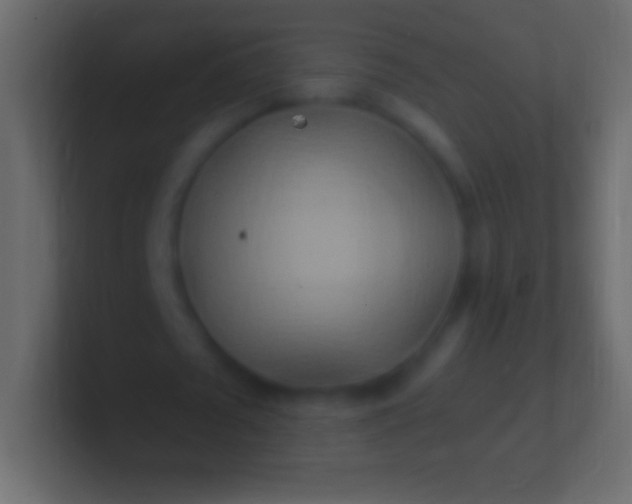 X0000100780673200807031232