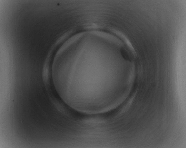 X0000100780674200807031232