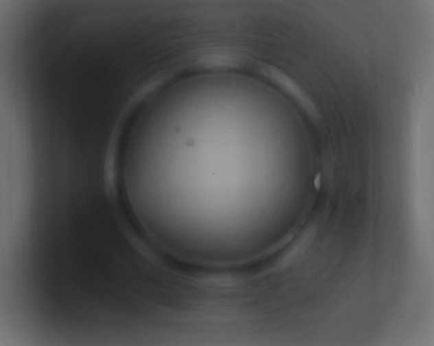 X0000100780677200807031232