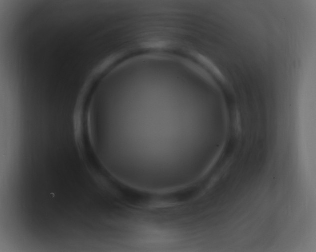 X0000100780678200807031232