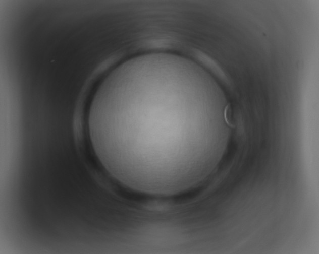 X0000100780680200807031232