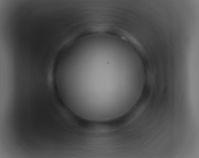 X0000100780681200807031232