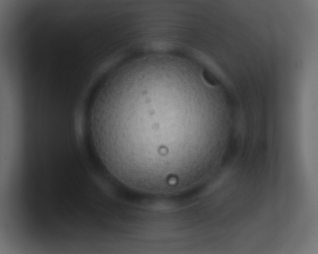 X0000100780683200807031232