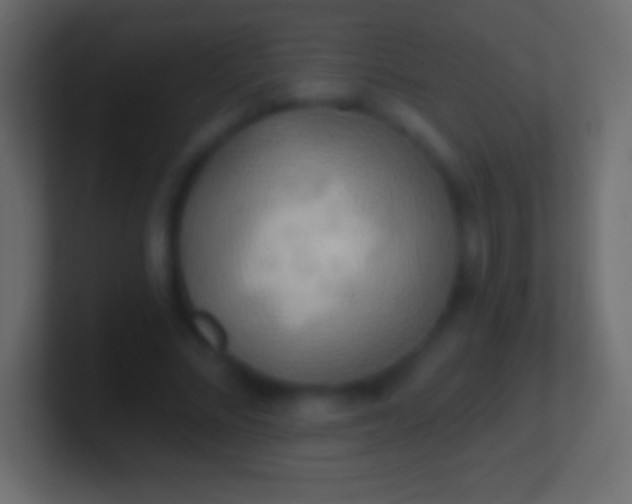 X0000100780684200807031232