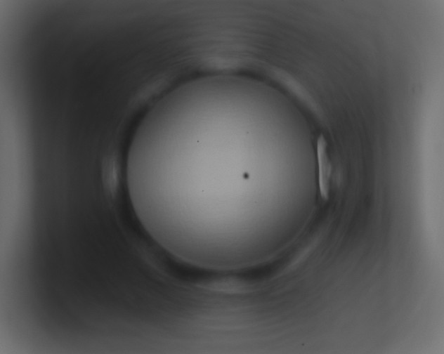 X0000100780685200807031232