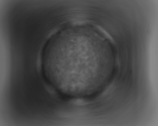 X0000100780687200807031232