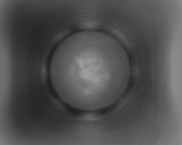 X0000100780688200807031232