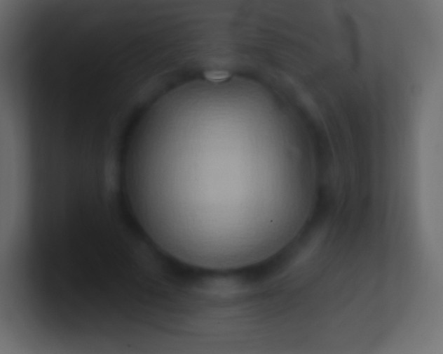 X0000100780689200807031232