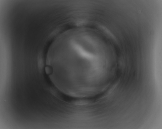 X0000100780691200807031232