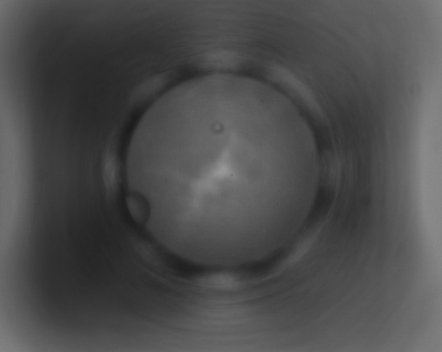 X0000100780692200807031232