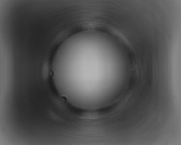 X0000100780694200807031232