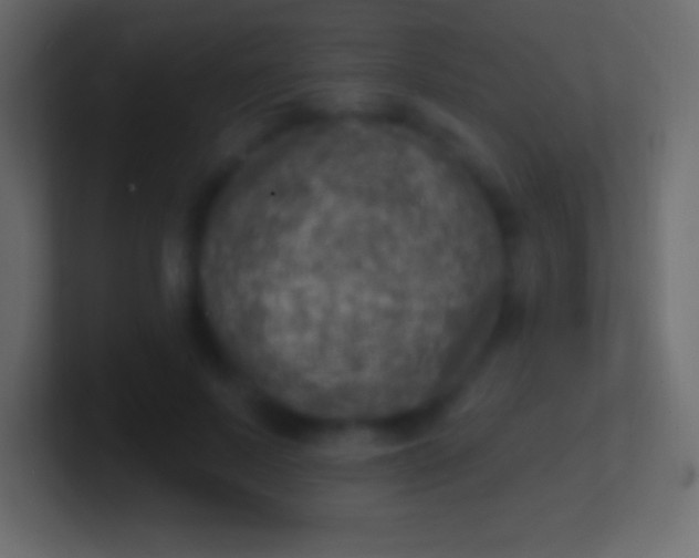 X0000100780695200807031232