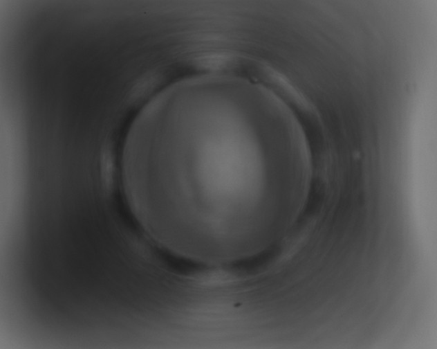 X0000100780696200807031232