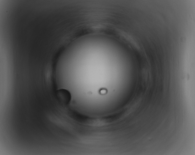 X0000100780698200807031232