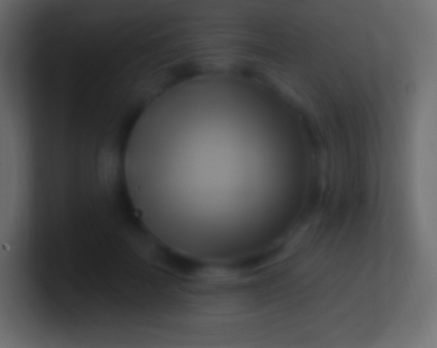 X0000100780699200807031232