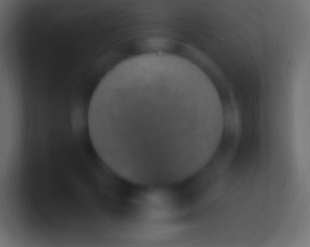 X0000100780701200807031231