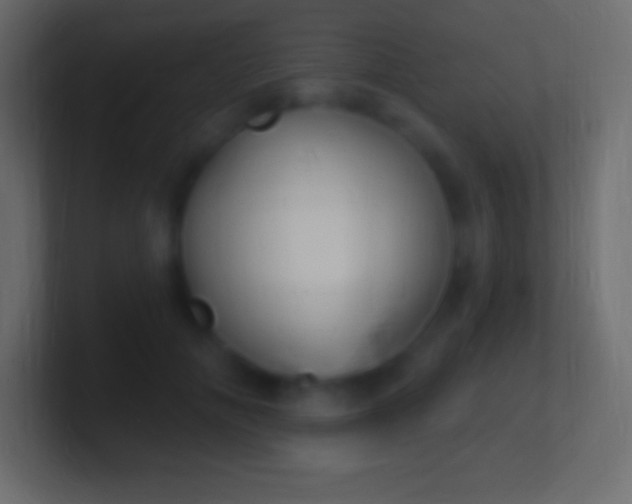 X0000100780702200807031231