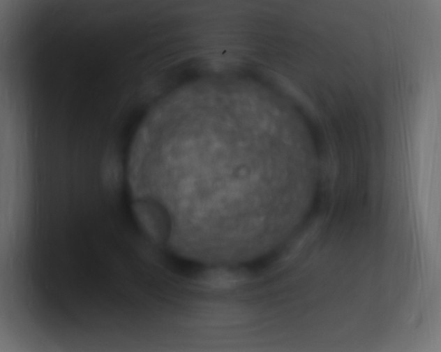 X0000100780703200807031231