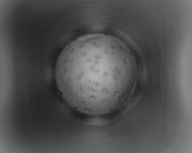 X0000100780704200807031231