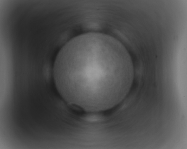 X0000100780708200807031231