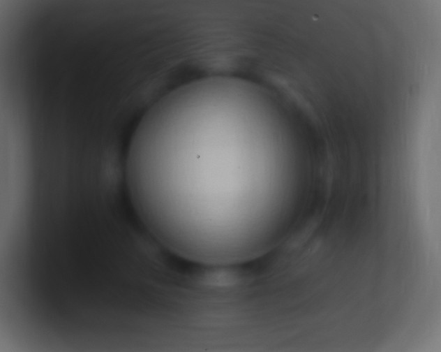 X0000100780710200807031231