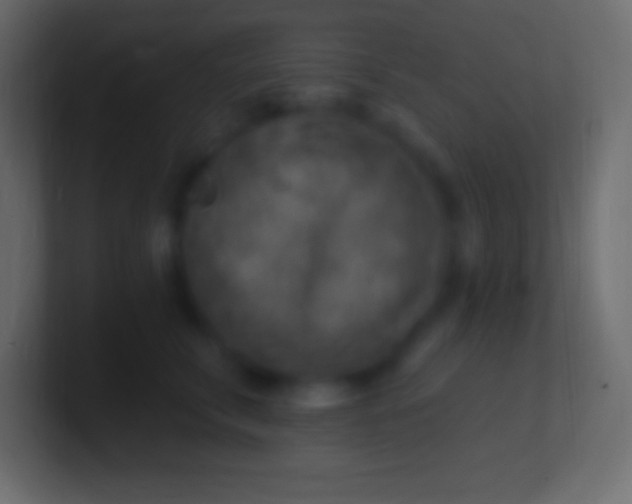 X0000100780711200807031231