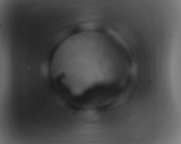 X0000100780715200807031231