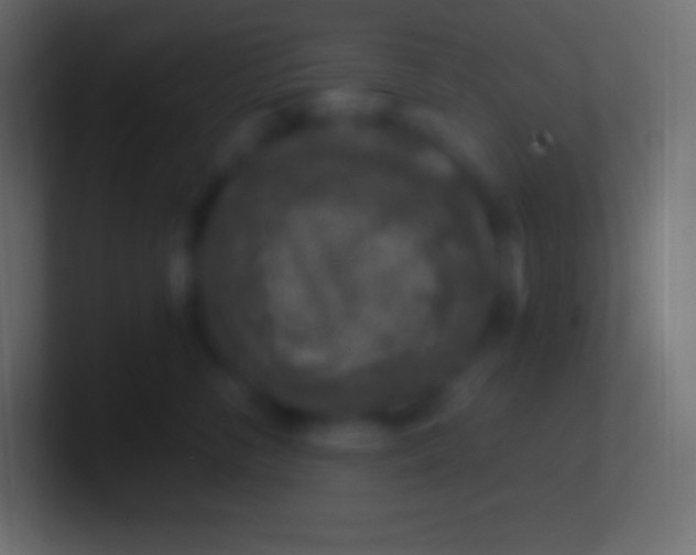 X0000100780716200807031231