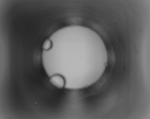 X0000100780717200807031231