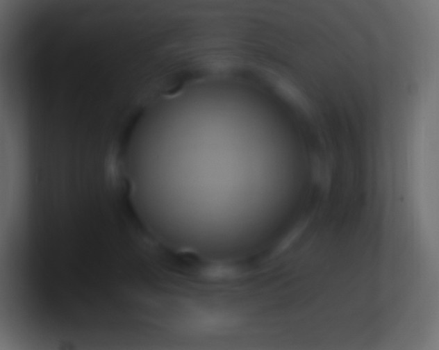 X0000100780718200807031231