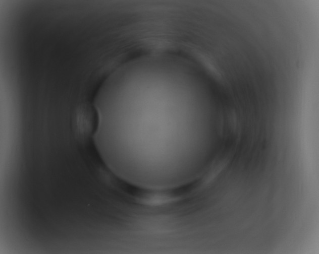 X0000100780719200807031231