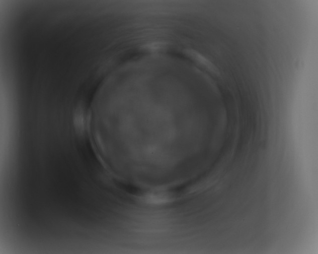 X0000100780720200807031231