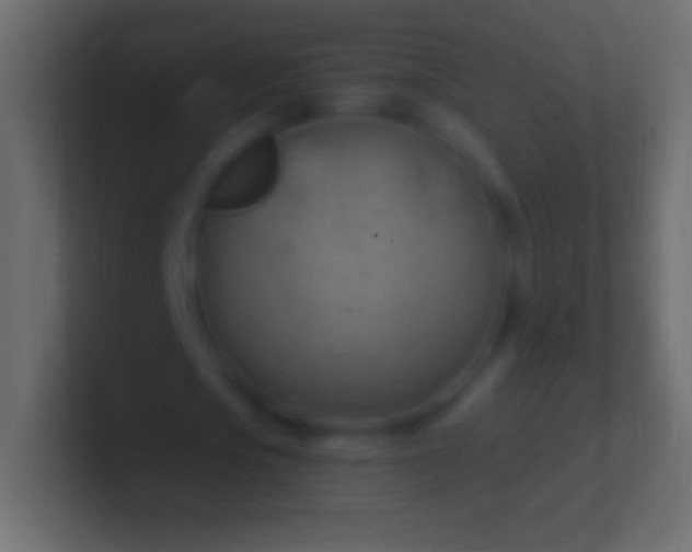 X0000100780721200807031231