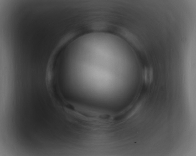 X0000100780723200807031231