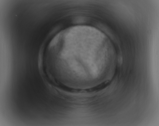 X0000100780724200807031231