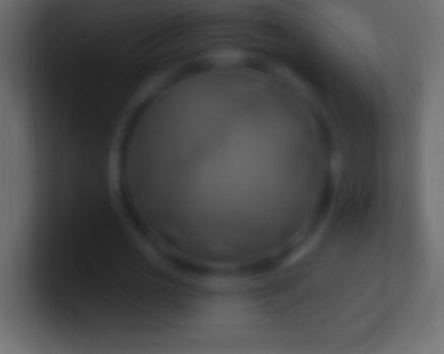 X0000100780725200807031231