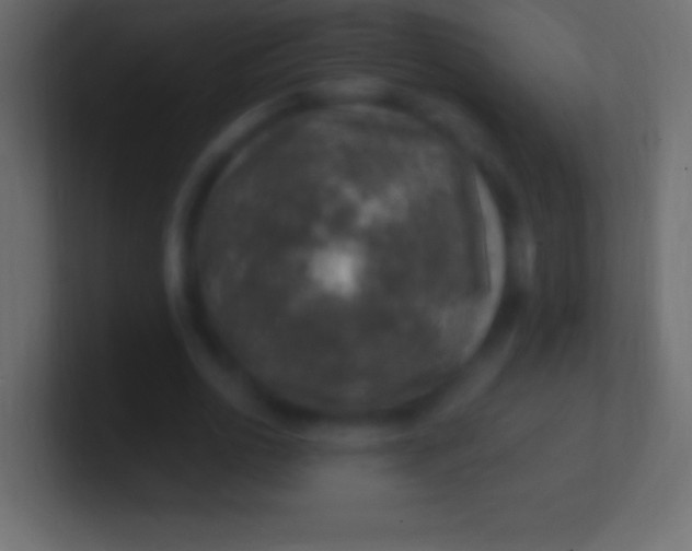 X0000100780726200807031231