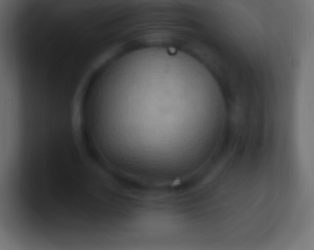 X0000100780727200807031231