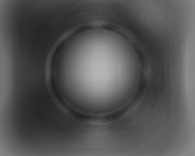 X0000100780728200807031231