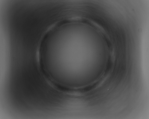 X0000100780729200807031231