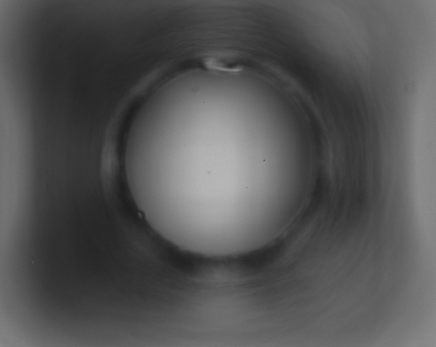 X0000100780731200807031231