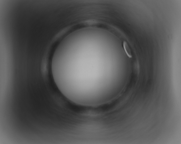 X0000100780732200807031231